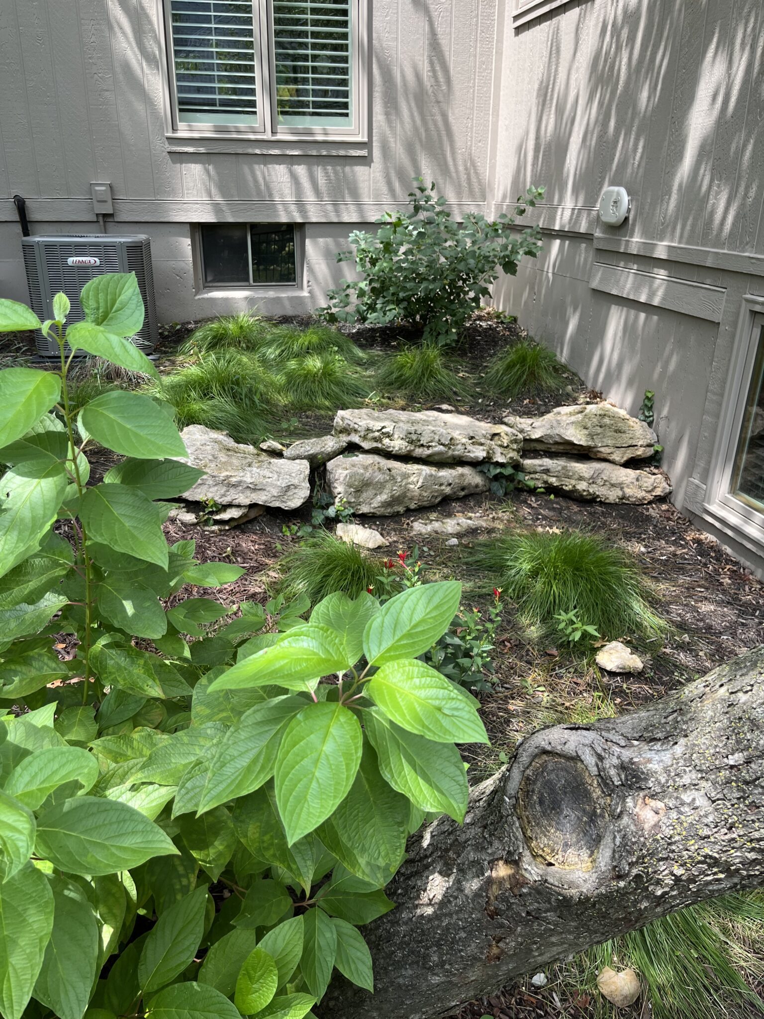 about-us-belfield-botanica